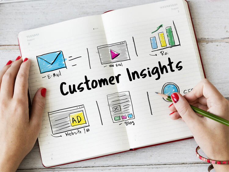 Customer Insight là gì