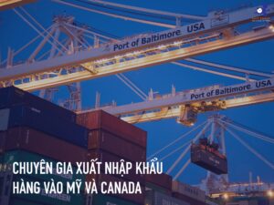 VNFT Group - Chuyên gia xuất nhập khẩu hàng vào Mỹ & Canada 