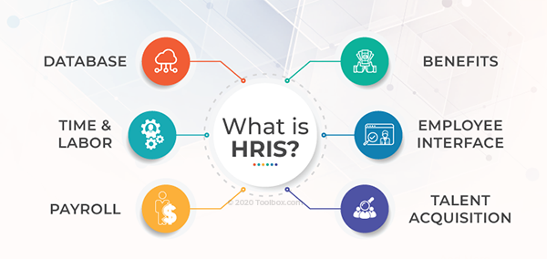 Hris là một công cụ quản lý nguồn nhân lực cho doanh nghiệp 