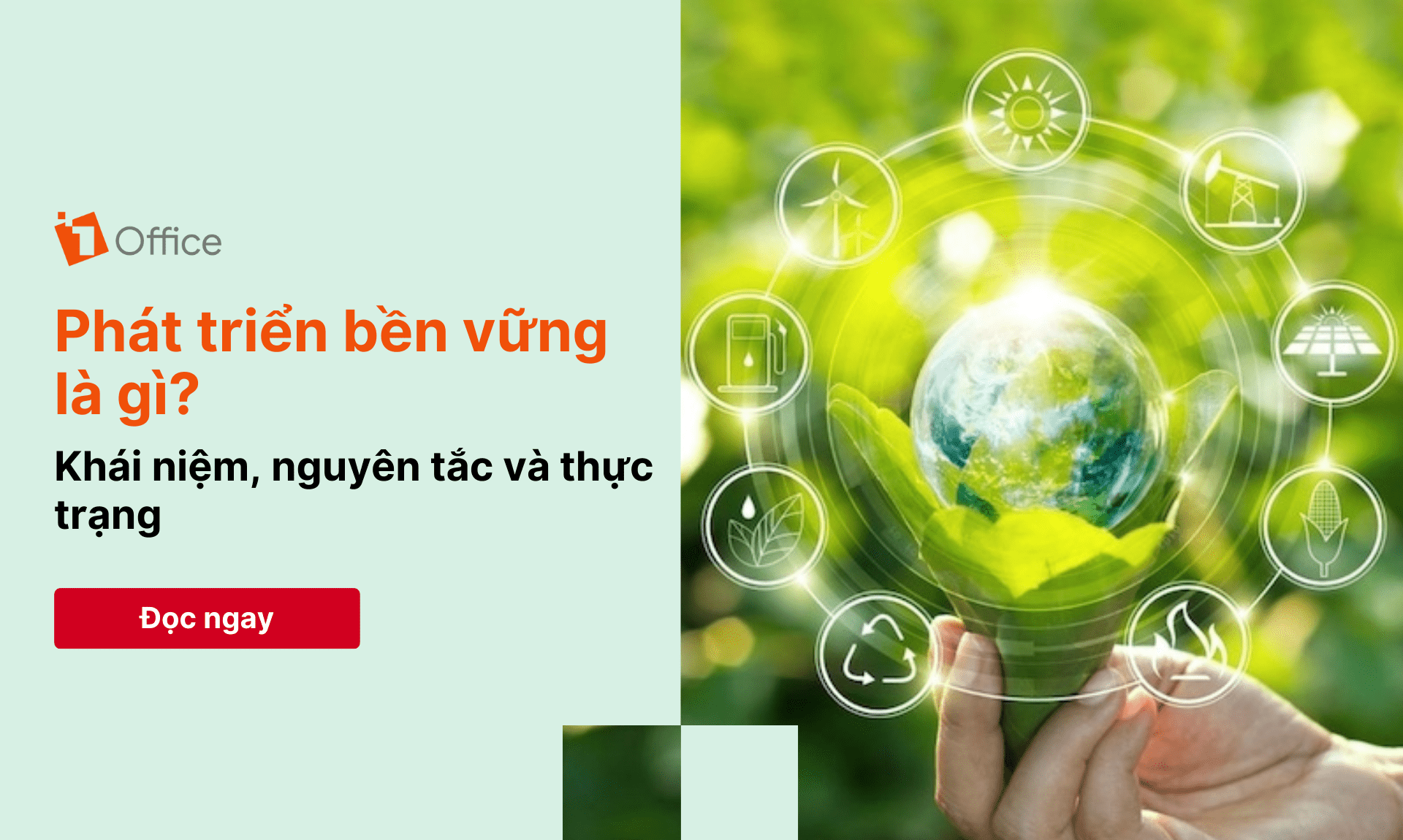 Phát triển bền vững là gì? Khái niệm, nguyên tắc và thực trạng