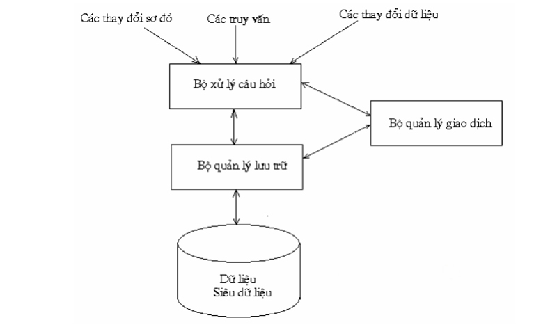 Cấu trúc của hệ quản trị cơ cơ sở dữ liệu