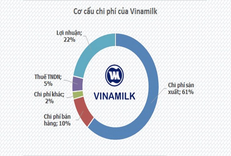 Cơ cấu chi phí (Cost Structure)