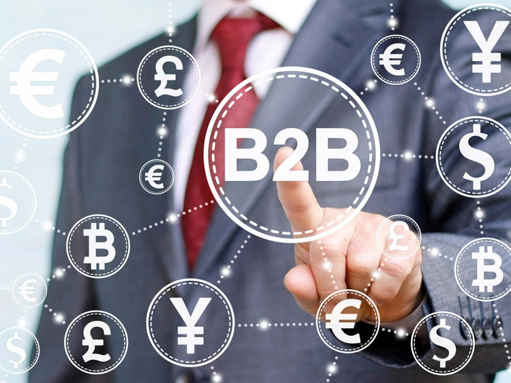 Phần mềm B2B Định nghĩa và bản chất