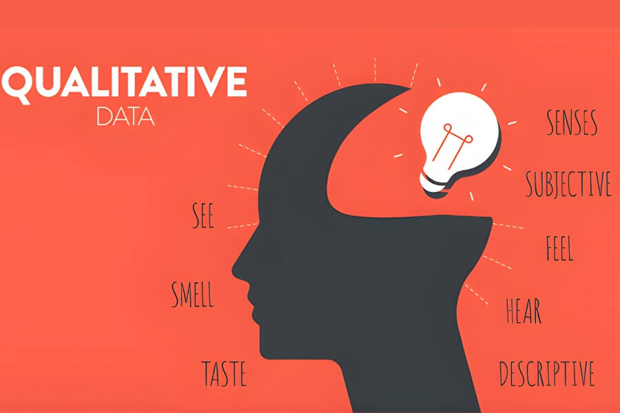 Dữ liệu định tính (Qualitative Data)
