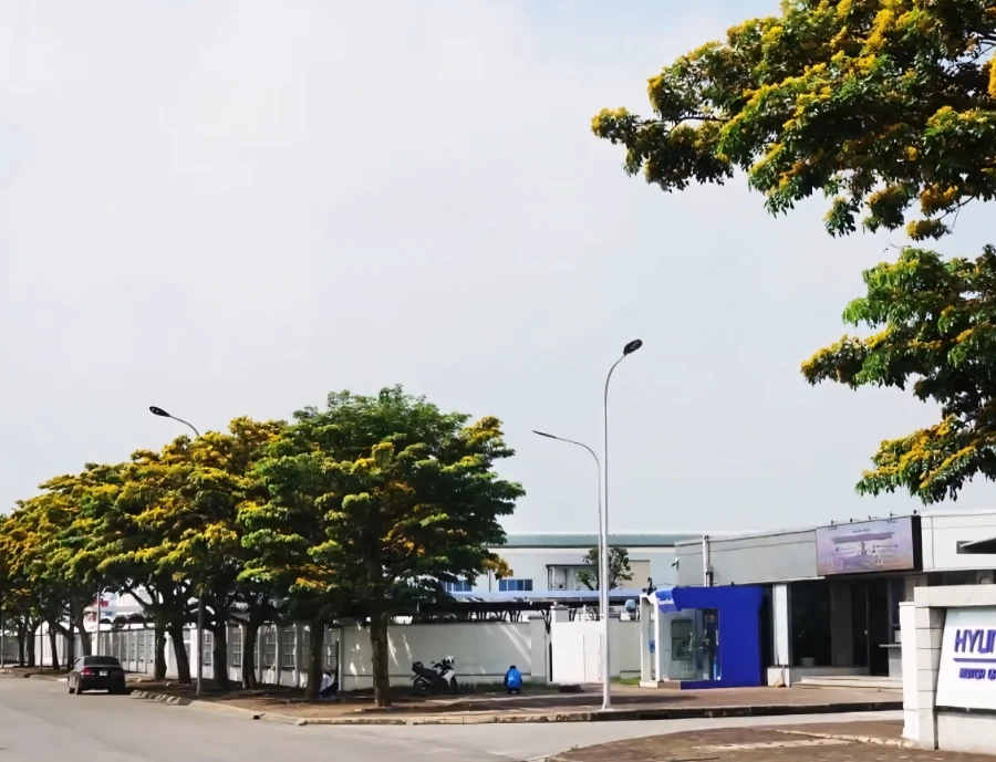 Cơ hội việc làm và môi trường sống