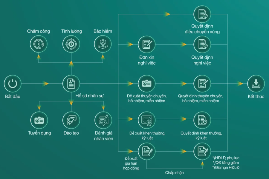 Quy trình quản lý hồ sơ nhân sự Bravo