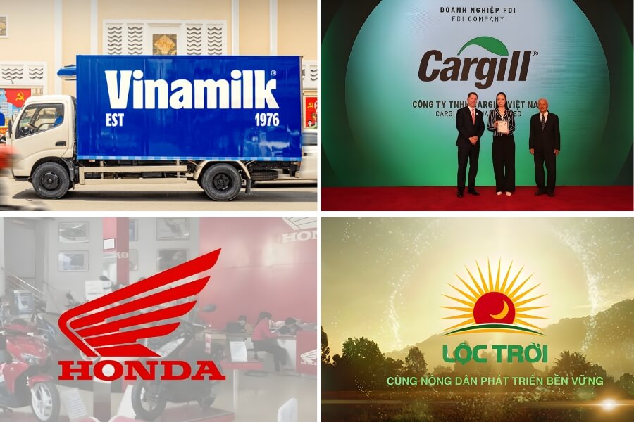 Ví dụ về trách nhiệm xã hội của doanh nghiệp ở Việt Nam