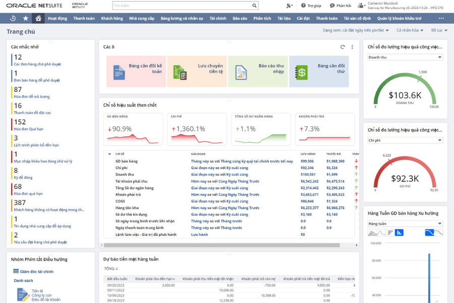 Phần mềm quản lý kho theo vị trí Oracle NetSuite