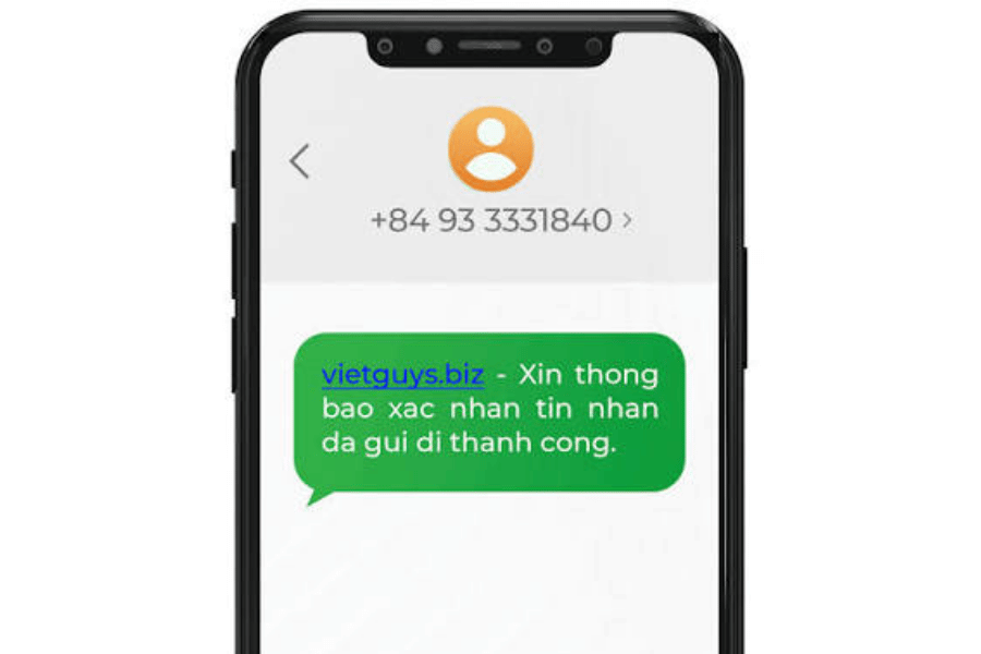 Phần mềm VietGuys