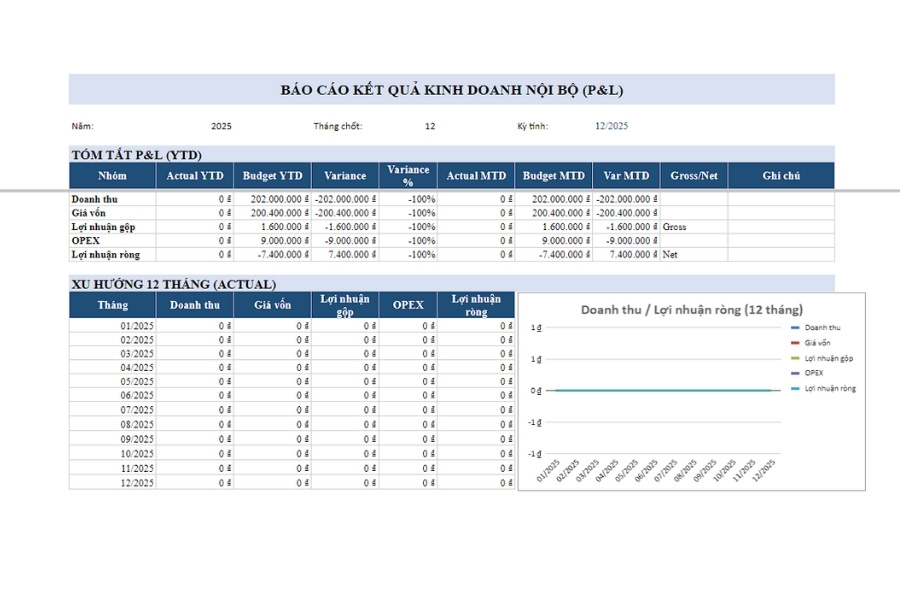 Mẫu báo cáo kết quả kinh doanh nội bộ P&L chuẩn FP&A trên Excel