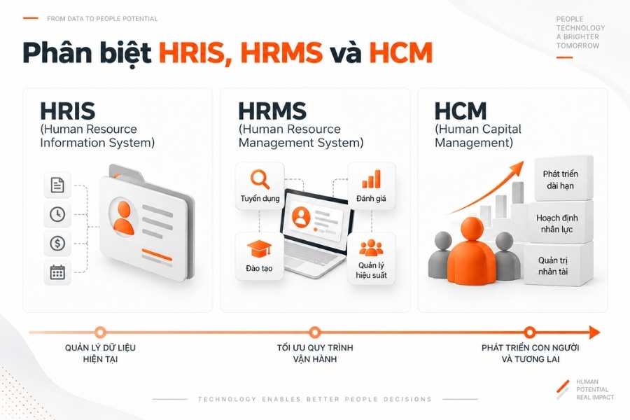 Infographic phân biệt HRIS, HRMS và HCM trong quản trị nhân sự tổng thể từ 1Office.
