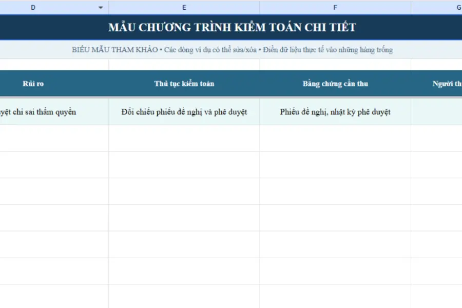 Mẫu chương trình kiểm toán chi tiết