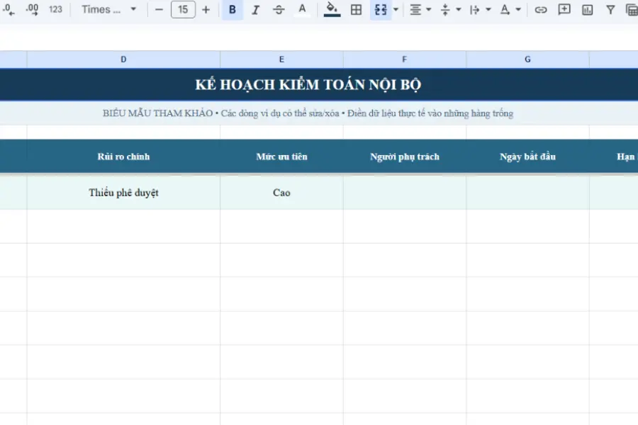 Mẫu kế hoạch kiểm toán nội bộ